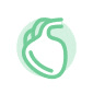 Cardiology
